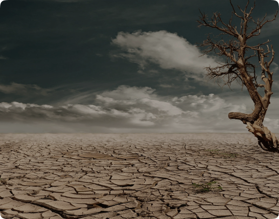 Cambio climático
