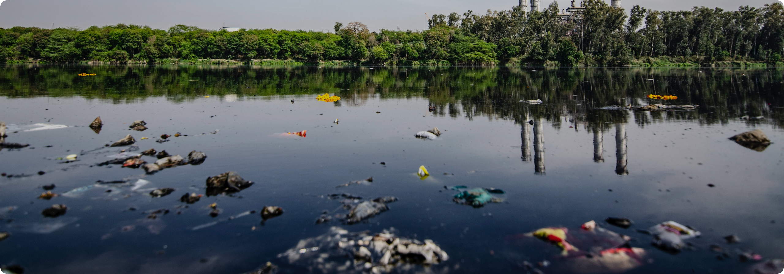Imagen contaminación del agua