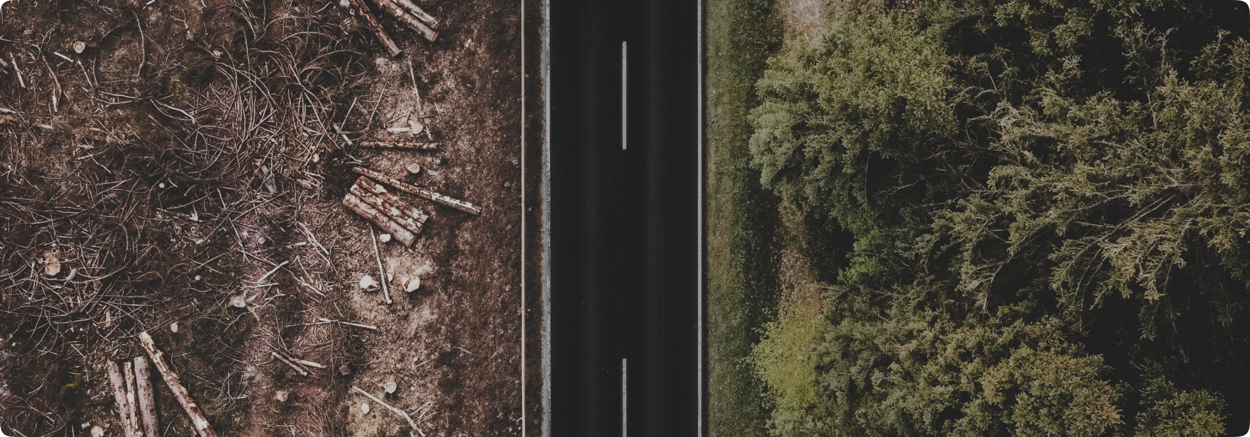 Imagen deforestación